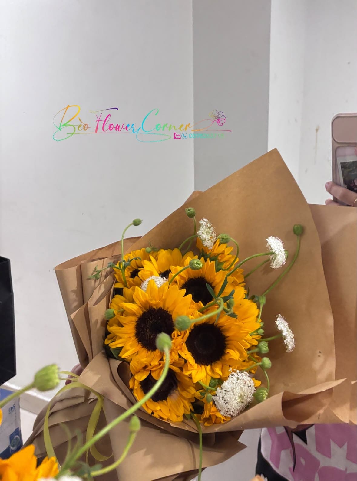 HƯỚNG DƯƠNG 💛🌻