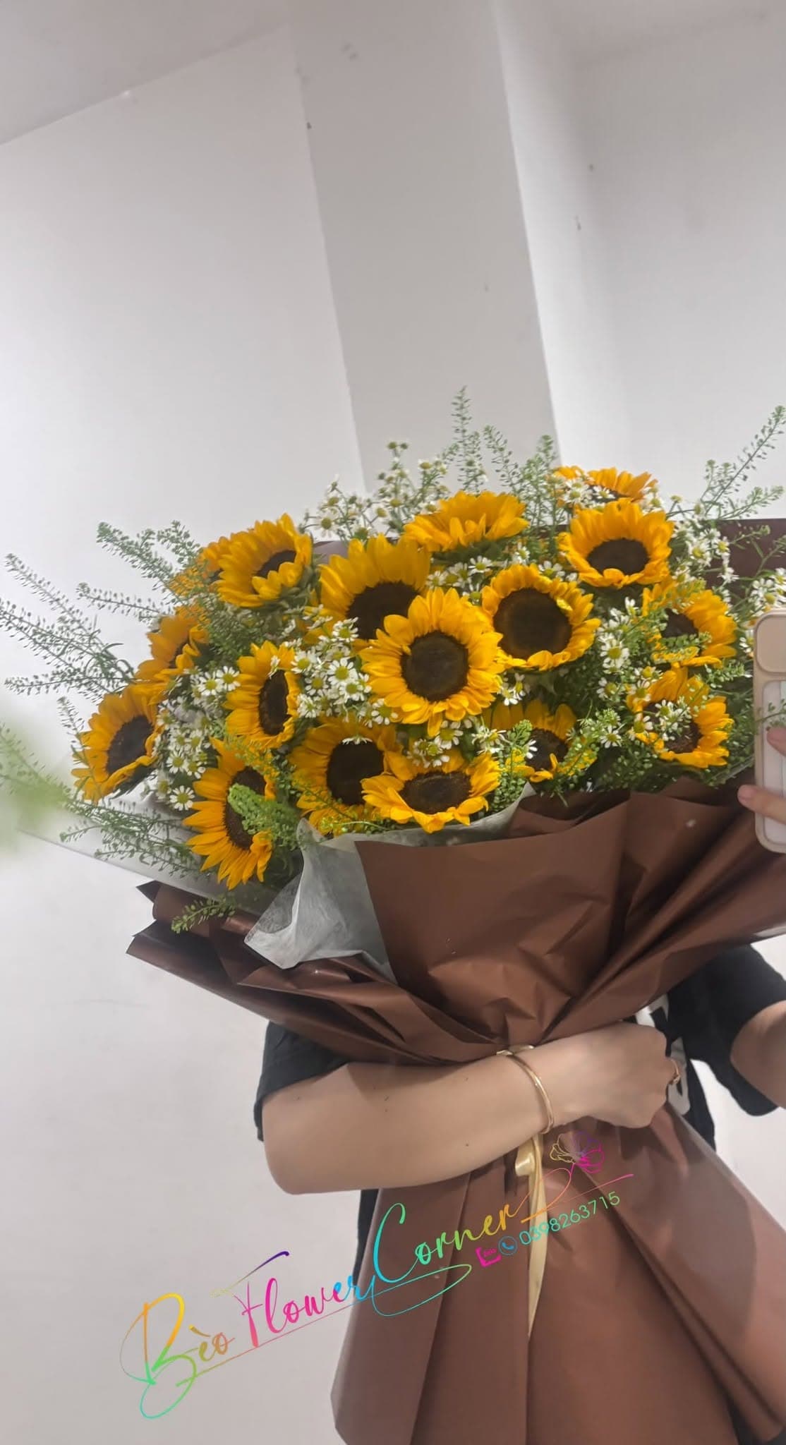 HƯỚNG DƯƠNG 💛🌻